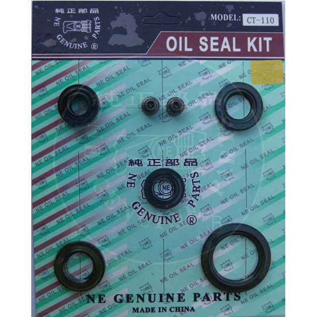 CT-110 Oil seal Set