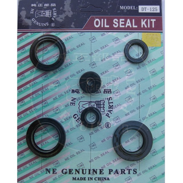 DT125 Oil seal Set